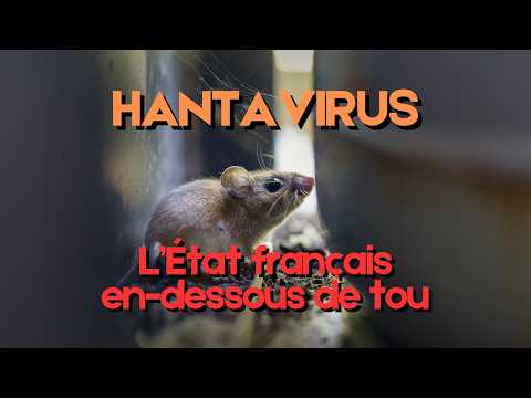 Le Gros Laboratoire Ado 2025