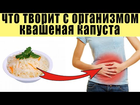 Вся Правда про Квашеную Капусту, почему вы должны её есть как можно чаще.