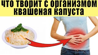 Вся Правда про Квашеную Капусту, почему вы должны её есть как можно чаще.