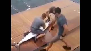 شاهد كيف قام الصيادون الشجعان بإصطياد سمكة أبو سيف الخطيرة