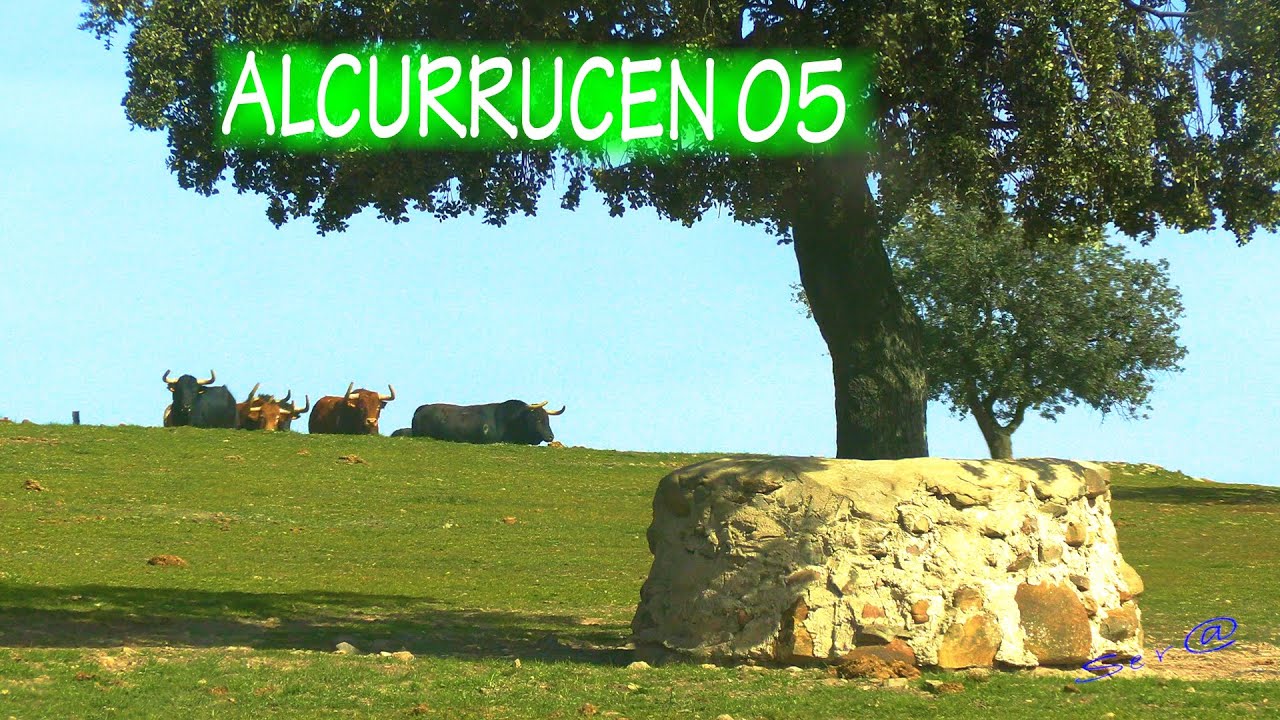 🟢2023 TOLEDO "URDA" 05 INTEGRO Visita Ganadería Alcurrucen