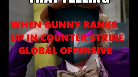 That Feeling .. when Gunny Ranks Up in CS GO