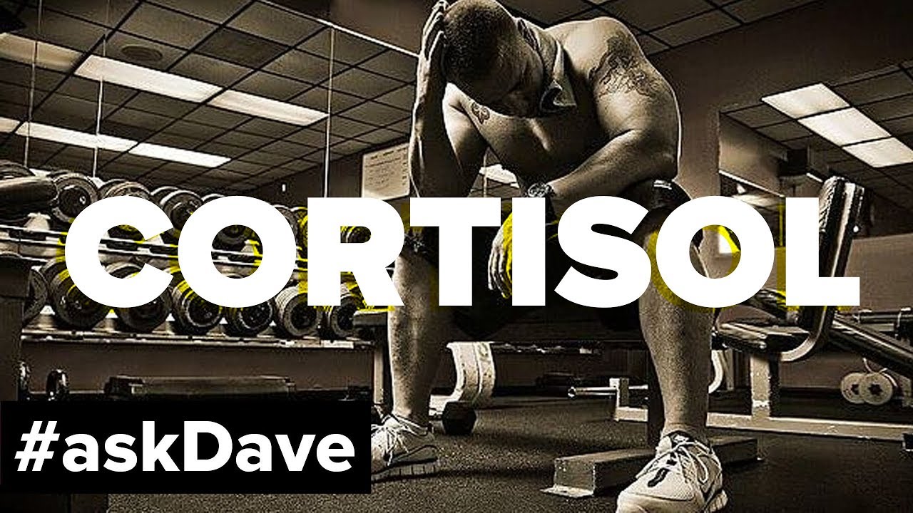 CORTISOL LEVELS! #askDave bodybuilding nutrition calculator