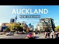 Auckland City Before The New Zealand Lockdown | Iphone 11 Pro 4K Video