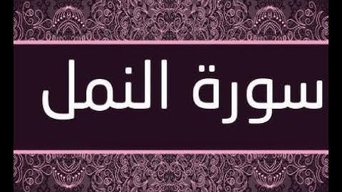 surat an naml سورة النمل Translated into English #islam #quran #holybook #muslim #تلاوة #verses