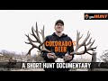 Colorado's Deer: A Hunter's Cinderella Story