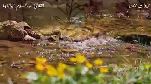 تلاوة هادئه مؤثرة للقارئ عبد السلام ابو النجا ❤