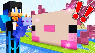 【マイクラ】世界一大きいウーパールーパー型の水槽を作ったら想像以上にヤバかったwww【マインクラフト 】【まいくら】