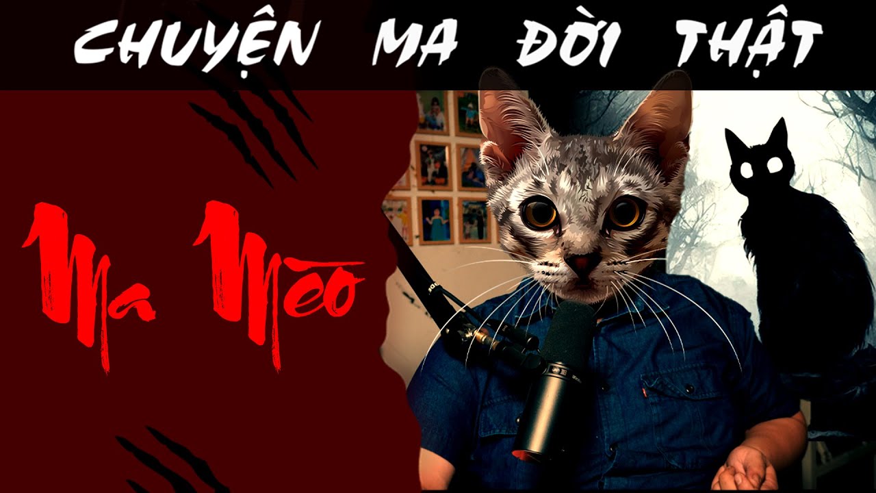 [TẬP 1505] Chuyện Ma Có Thật : MA MÈO - YouTube