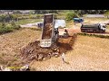 Incredible operation small komatsu dozer vs big hyundai dump trucks to push and spread the stone