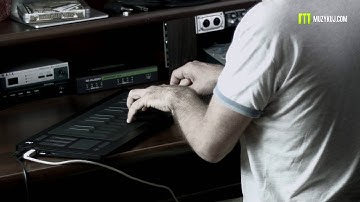 Equator For Seaboard Roli Seaboard RISE