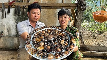 TÌM BẮT ĐẶC SẢN ỐC ĐÁ (Ốc Núi) ĐẦU MÙA MƯA - Bùi Văn Trọng