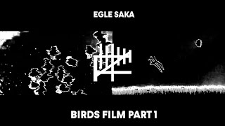 BIRDS FILM PART 1 // experimental avant garde cinema // glitch video art //