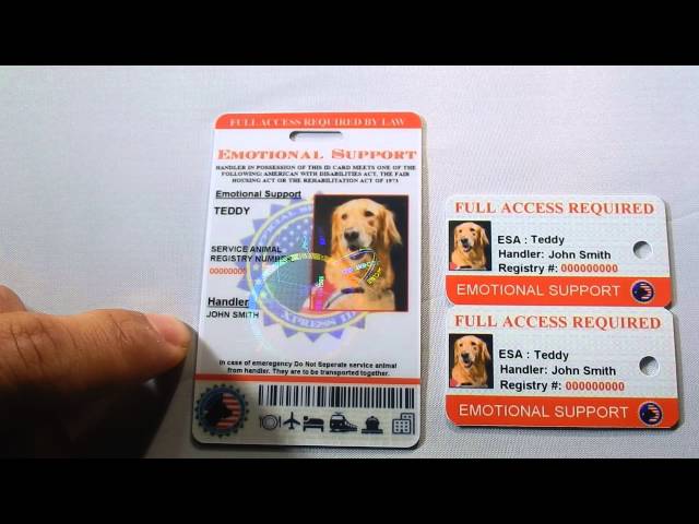  Custom Holographic Emotional Support Animal ID Card +