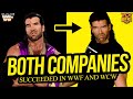 Both companies  successes in wwf  wcw