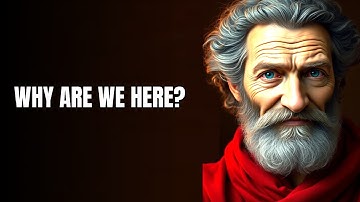 The Meaning of Life? A Buddhist Perspective on Why We Are Here