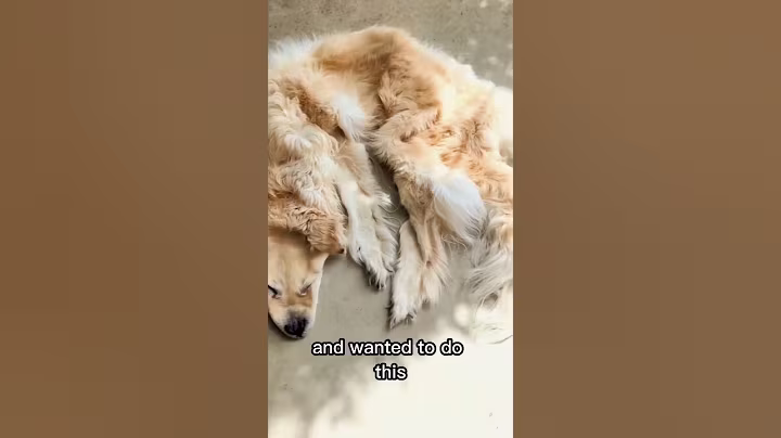 They Did This After Their Dog Died #shorts