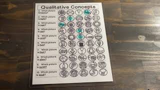 Qualitative Concepts