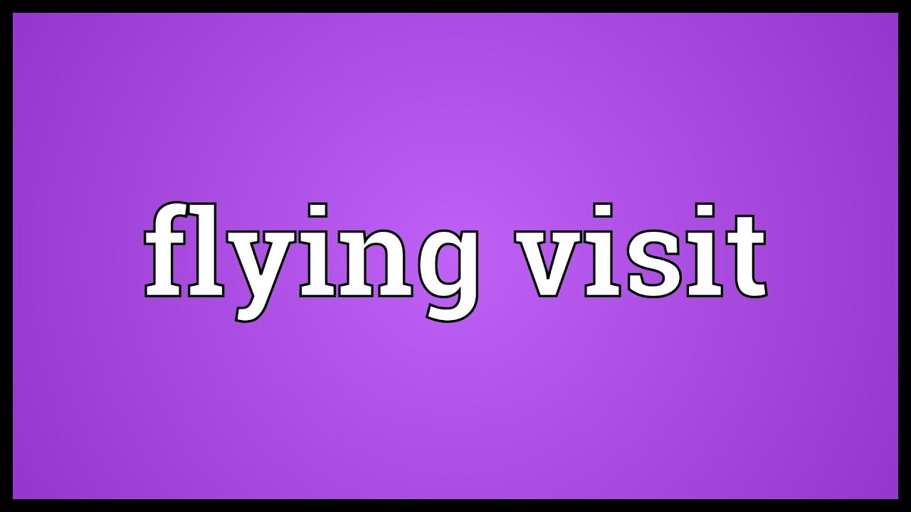 flying visit idiomatic meaning