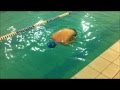 Обучение плаванию взрослых: swimtomsk.ru