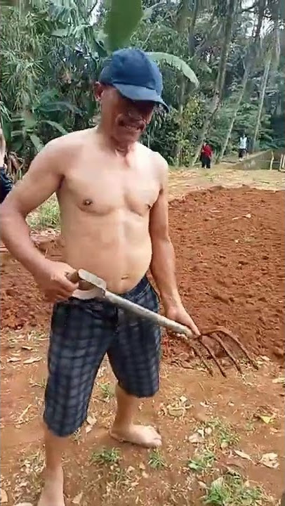 Seorang petani berotot kuda