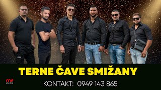 Video thumbnail of "TERNE ČAVE SMIŽANY  -  Volverei"