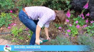 Successful Garden Design Tips 8 - getting planting numbers correct