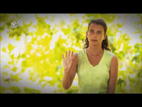 Survivor 65. Bölüm tanıtımı