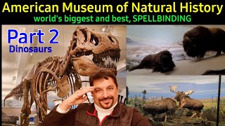 American Museum of Natural History, Biggest & Best Dinosaurs etc Hindi part2 January 14, 2021 screenshot 5