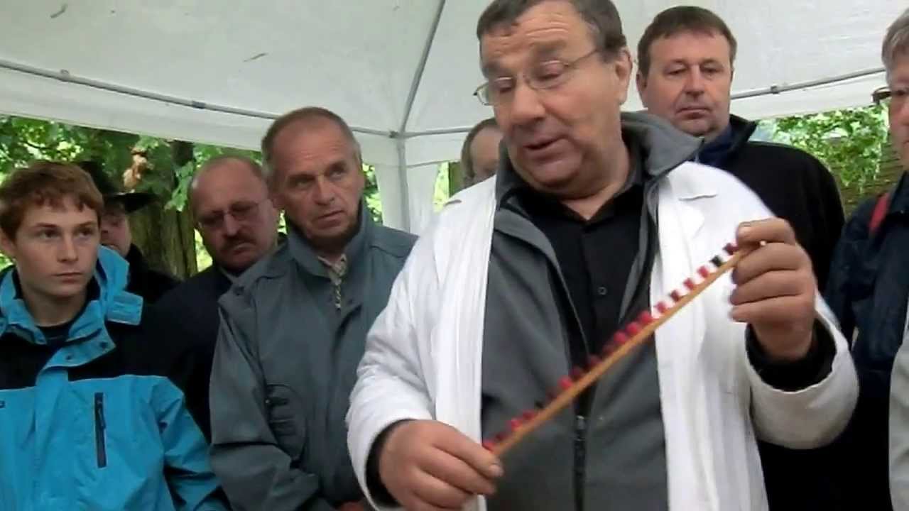 Chov vcelich matek 1