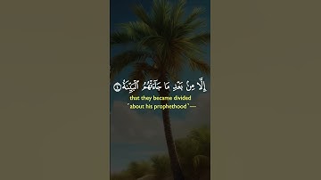 القرآن الكريم القارئ الشيخ ماهر المعيقلي حفظه الله #qoran #اكسبلور #القرآن_الكريم #like #explore