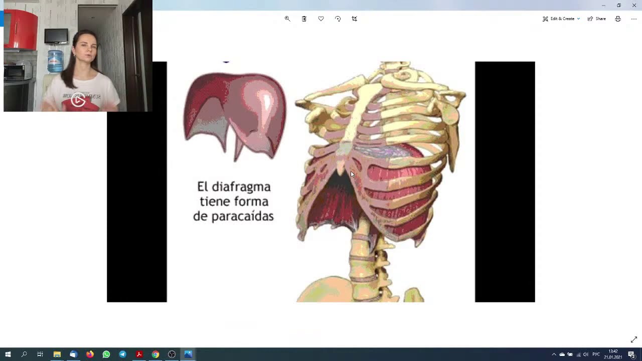 Копия видео 