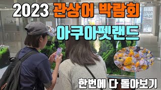 평일인데도 난리가 났던 2023 관상어 박람회! 자세한가격도 (물고기,크레스티드게코,금붕어)아쿠아펫랜드