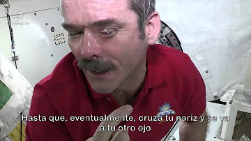 ¿Qué pasa si lloramos en el espacio?