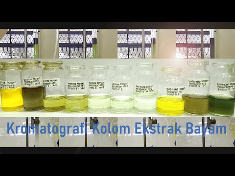 Video: Komposisi Kimia Bayam Yang Lengkap