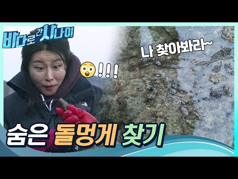 &amp;quot;이게 보여요??&amp;quot; 천리안의 사나이(?) 돌멍게도 손쉽게 줍줍｜[바다로 간 사나이] 19회