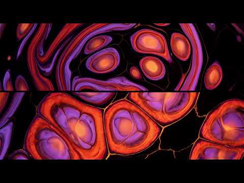 Dark Fluid Abstract 4K VJ Loops — Molten Helix Pack | Dark Techno Visuals