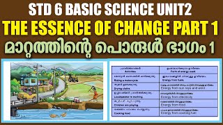 STD 6 Basic Science Unit 2|The Essence Of Change Part 1|SCERT Kite Victers STD 06 Worksheet