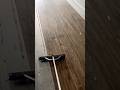 Shipper had me sweeping out my 53ft empty trailer #cdllife #truckerlife #truckingcommunity