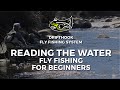 Reading The Water - Fly Fishing For Beginners