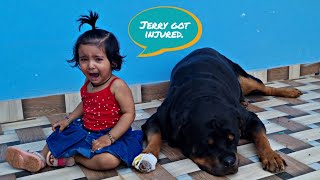 aaru is crying for jerry | cute baby playing with dog compilation | the rott |