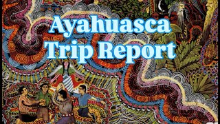 Ayahuasca Trip Report - My Blue Morpho Retreat