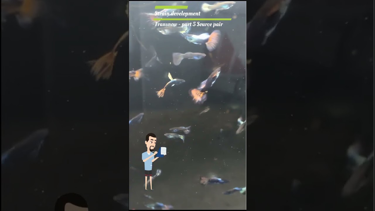 Strain development should not start from mutations  