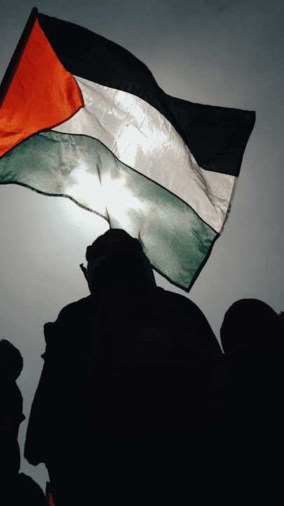 free Palestine #storywa #palestina #allah #palestinamerdeka