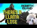 Theres a llama lose warzone