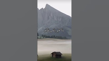 واتس اب قران كريم القارئ احمد النفيس (سوره القيامة)