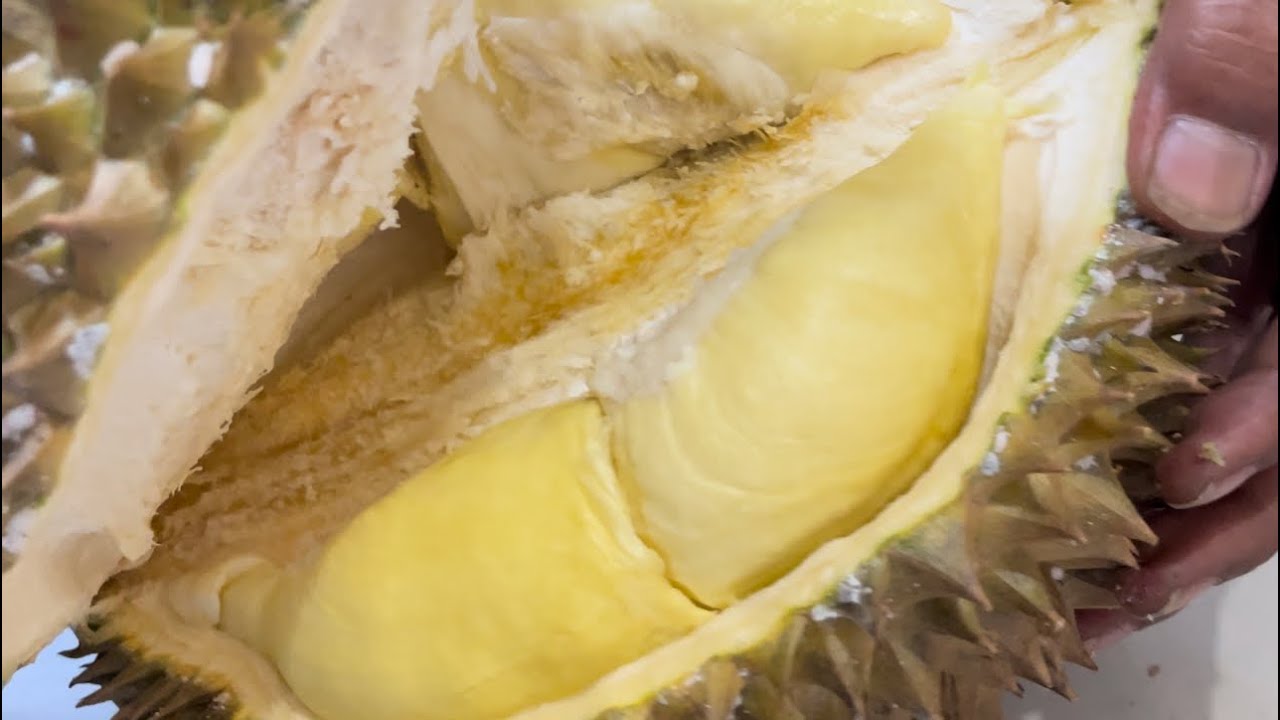 Opening durian montong rp 170.000 - YouTube