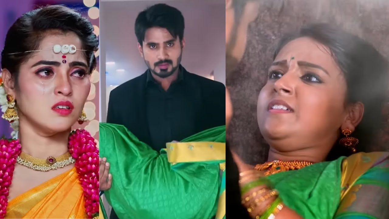 ಅಮೂಲ್ಯಾಳನ್ನು ಕಾಪಾಡುವ ವೇದಾಂತ್ | Gattimela | Ep 99 | Popular Kannada Family Drama Serial - Zee Kannada