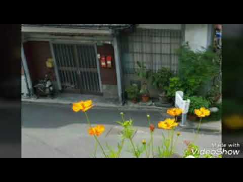 小柳ルミ子    わたしの城下町