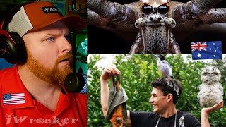 видео: Американец отреагировал на рейтинг странных австралийских животных у меня во дворе! картинка: Американец отреагировал на рейтинг странных австралийских животных у меня во дворе!